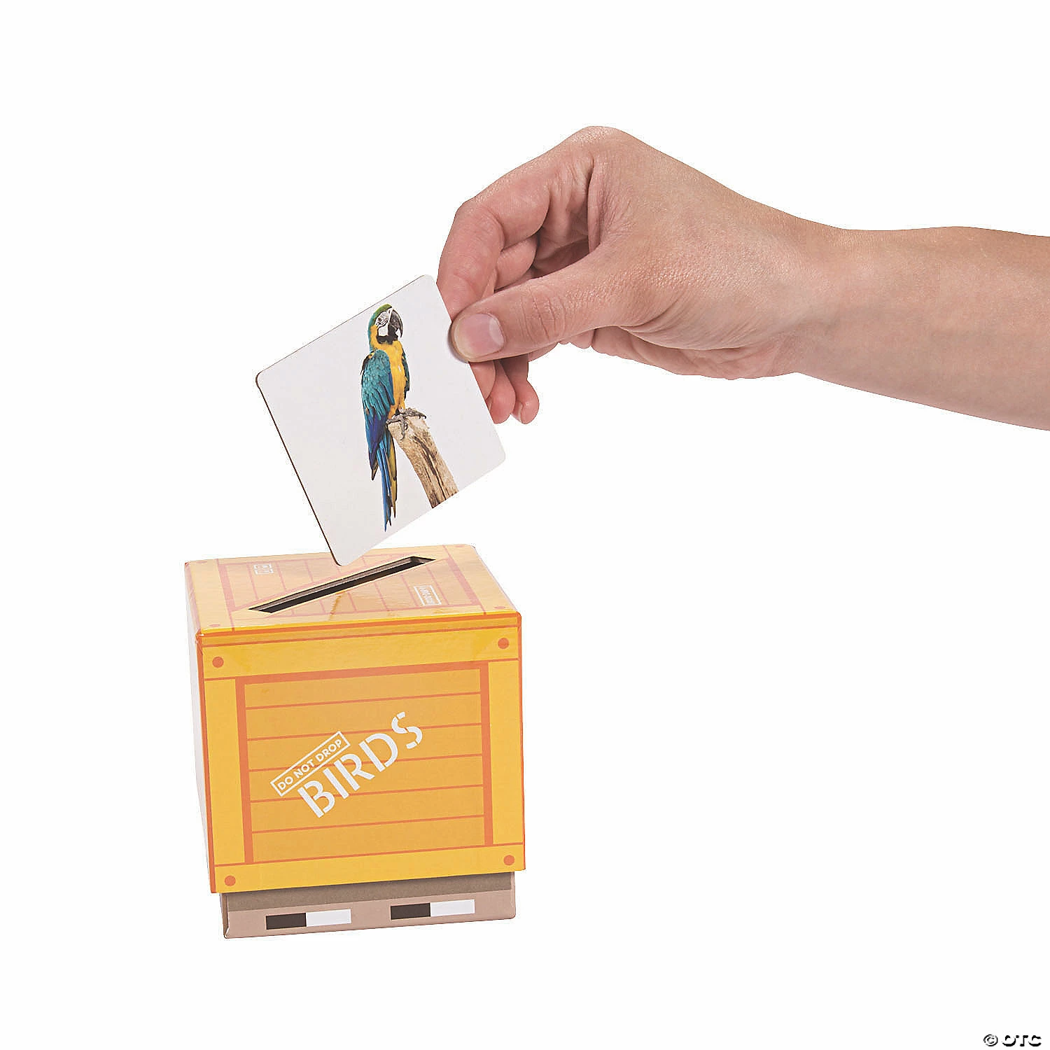 Flash Sale π Animal Classifications Sorting Boxes π 4 Flash Sale π Animal Classifications Sorting Boxes π - Image 2