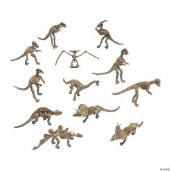 Best reviews of 🎁 Dino-Mite Dinosaur Skeletons - 12 Pc. 🎁