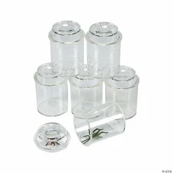 Wholesale 🧨 See-Through Bug Jars - 10 Pc. 😉
